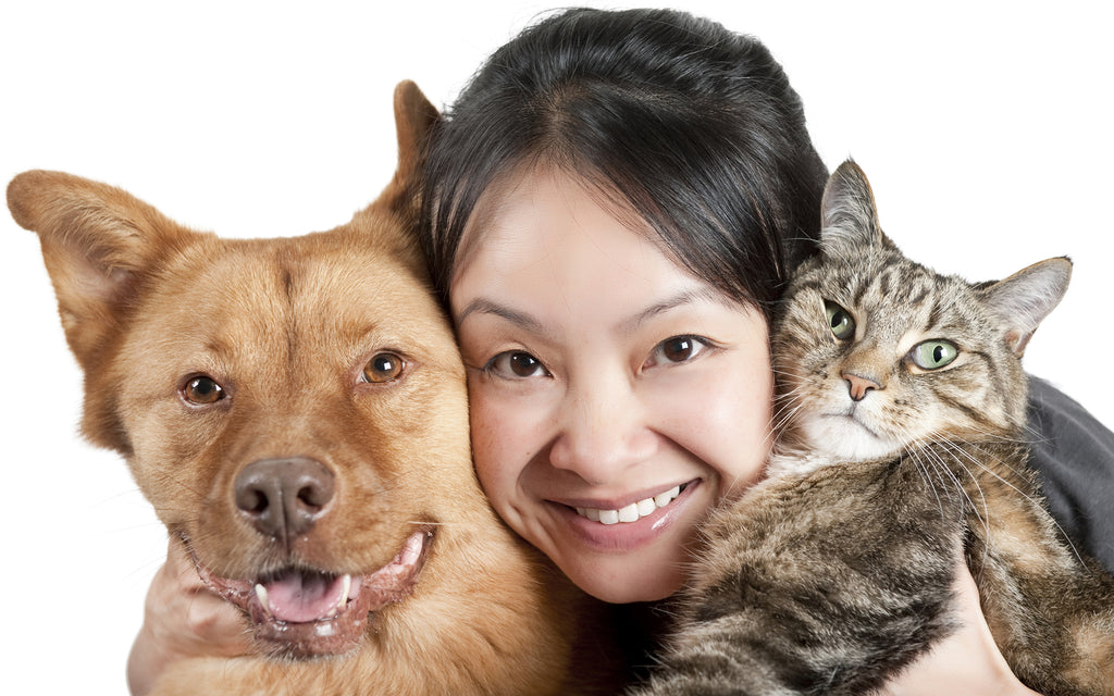 Vitamina “C” en perros y gatos. ¿Cuándo y cuánto es recomendable?